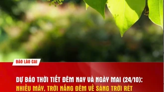 Dự báo thời tiết đêm nay và ngày mai (24/10): Đêm về sáng trời rét