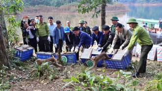 Vườn Quốc gia Hoàng Liên phối hợp với Vườn Quốc gia Vũ Quang tái thả 18 cá thể động vật hoang dã về tự nhiên