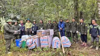 Vườn quốc gia Hoàng Liên tái thả 31 cá thể động vật hoang dã về tự nhiên