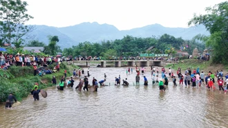 Trải nghiệm bắt cá trên suối Nặm Luông