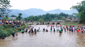 Trải nghiệm bắt cá trên suối Nặm Luông