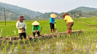 Thêm 464 m kênh mương phục vụ tưới tiêu tại xã Mường Vi