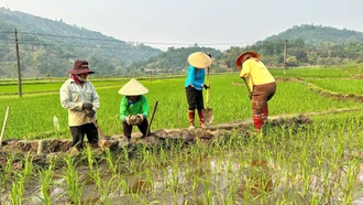 Thêm 464 m kênh mương phục vụ tưới tiêu tại xã Mường Vi