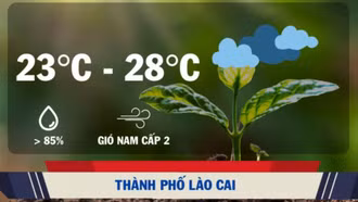 Gió nhẹ, đêm về sáng trời rét