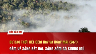 Dự báo thời tiết đêm nay và ngày mai (24/1): Đêm về sáng rét hại, sáng sớm có sương mù