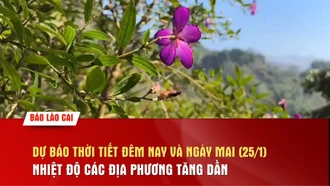 Dự báo thời tiết đêm nay và ngày mai (25/1): Nhiệt độ các địa phương tăng dần