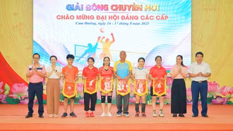 13 đội bóng tham dự Giải Bóng chuyền hơi phường Cam Đường