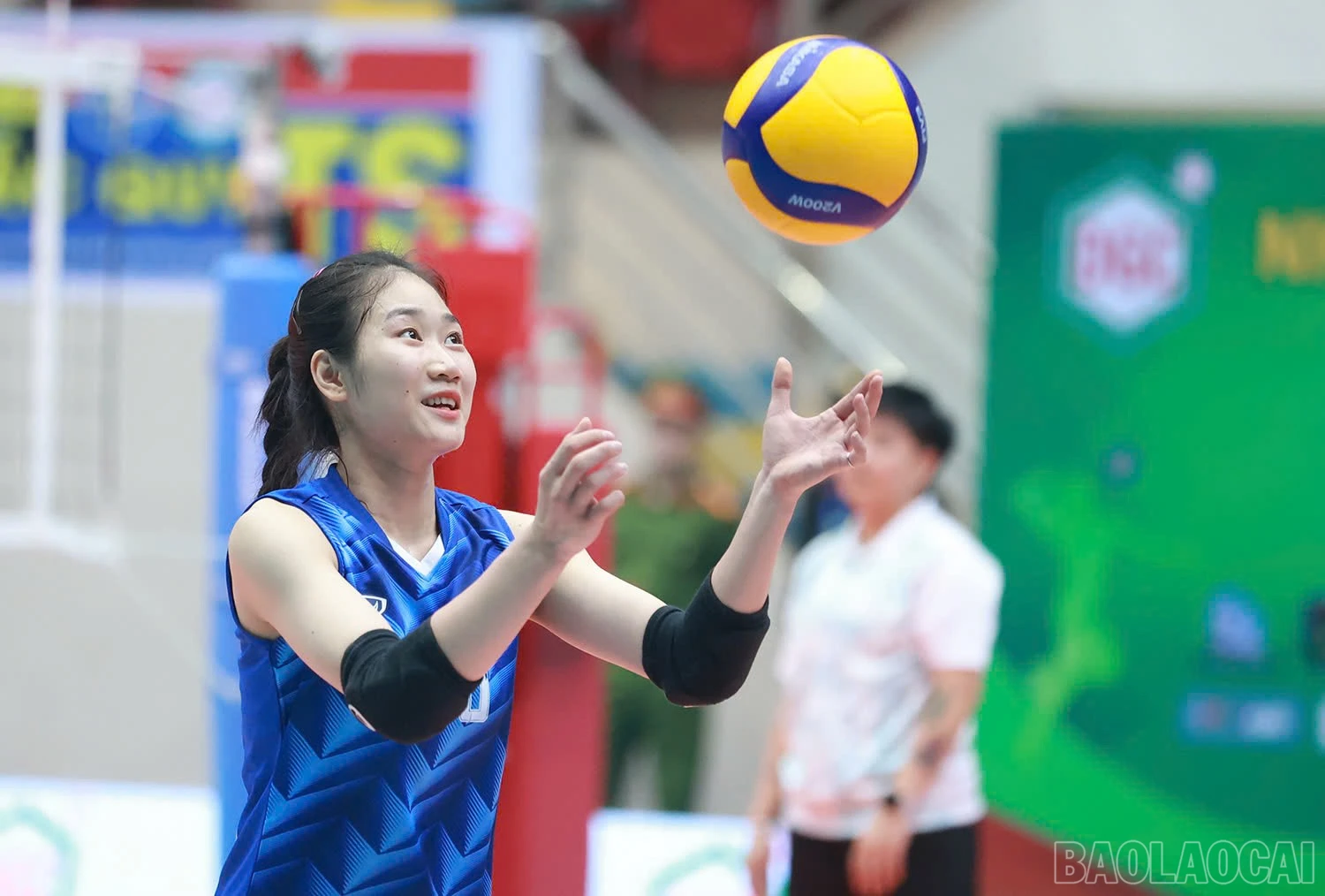 baolaocai-br_z6033244440525-e18a5c0df9376113f1532796fb02198c.jpg