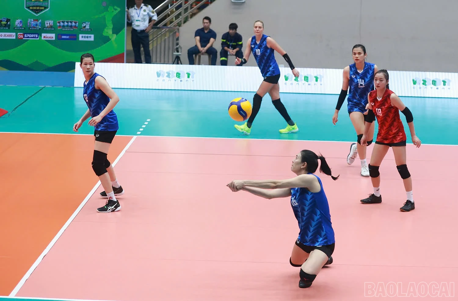 baolaocai-br_z6033244410245-c6834b47d9431266feb1c6b8092559d3.jpg