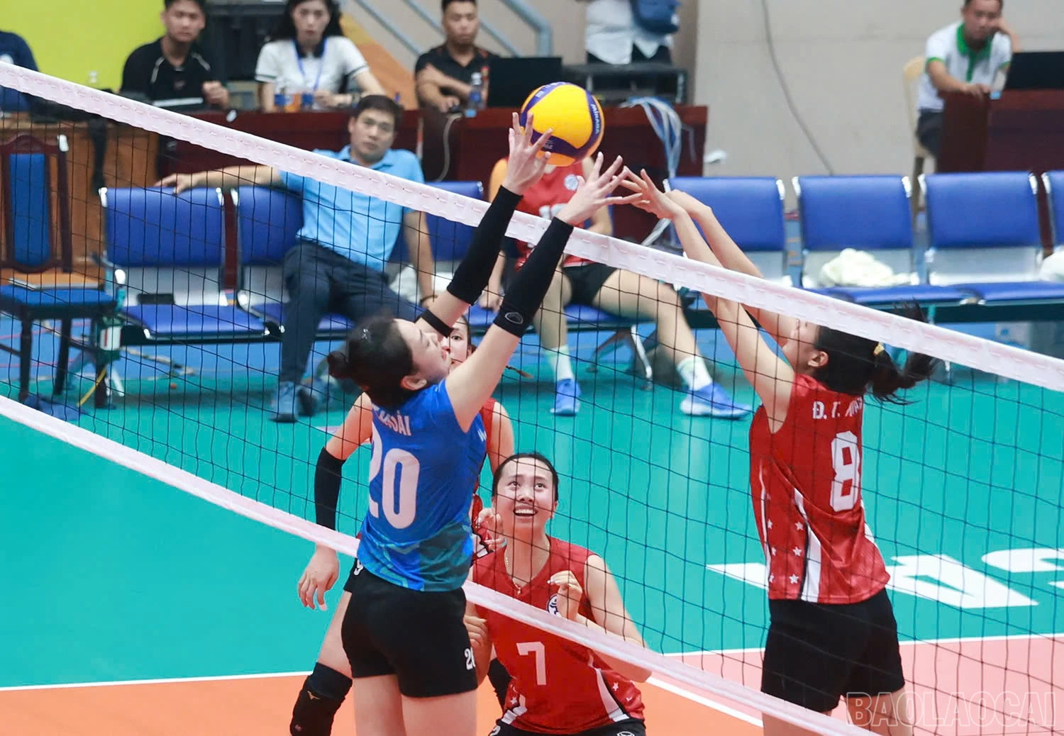 baolaocai-br_z6032501535512-f9de80fdcfc44a521258d08649321fb4.jpg