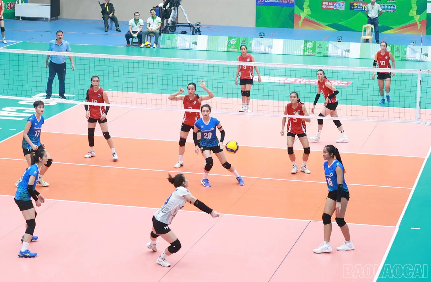 baolaocai-br_z6032501646302-a3ea64ef1b75f44f7cf6d57be7eb23ac.jpg