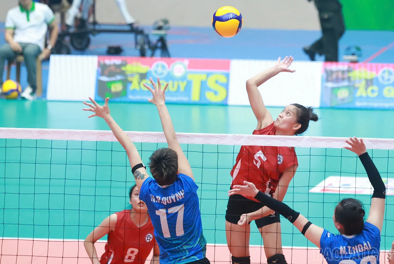 baolaocai-br_z6032501646360-f7ed5eea8f8547783b5e7cd269bdd998.jpg