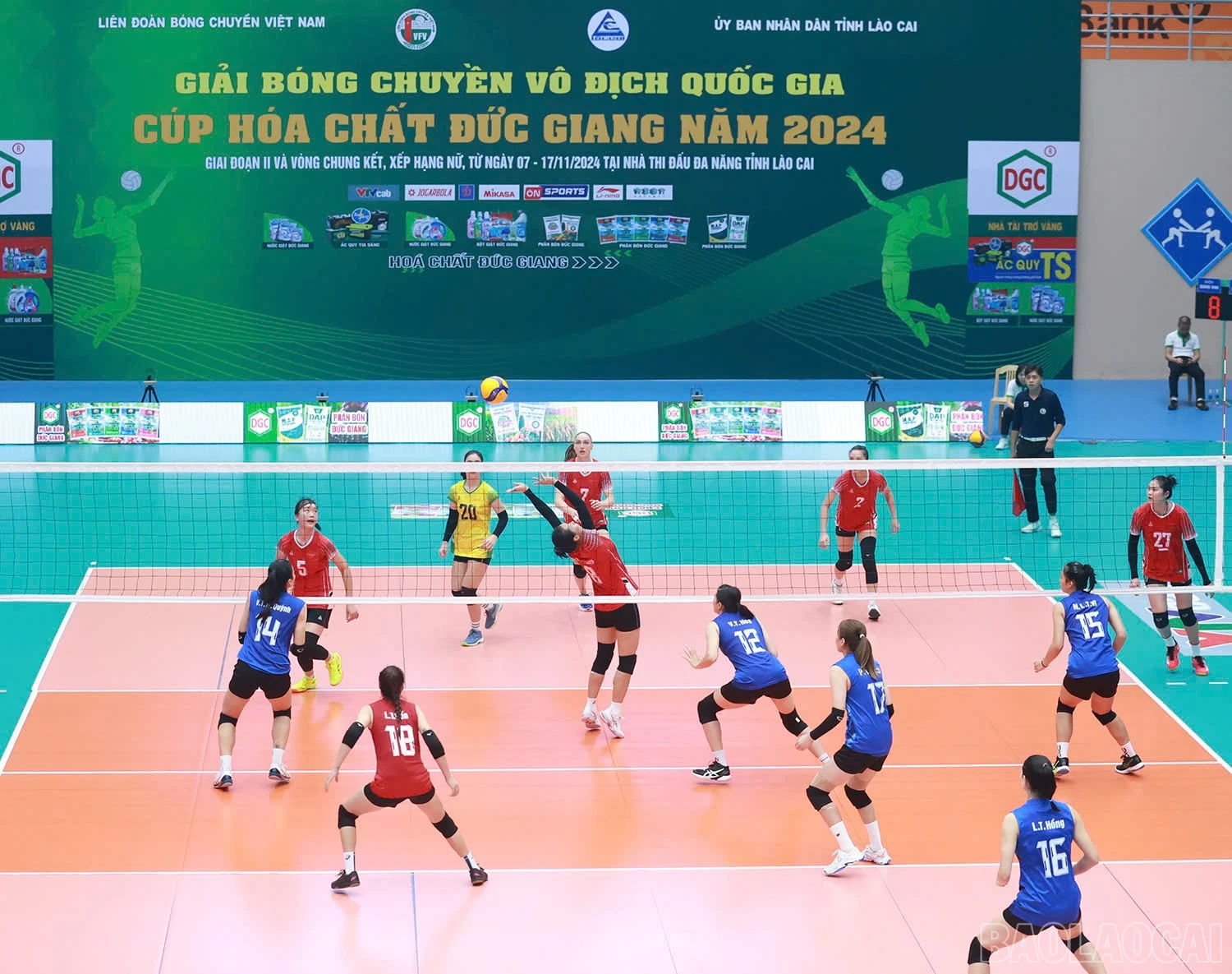 baolaocai-br_z6033243979489-7e8106dcc371d268d1d7a542831ea2eb.jpg