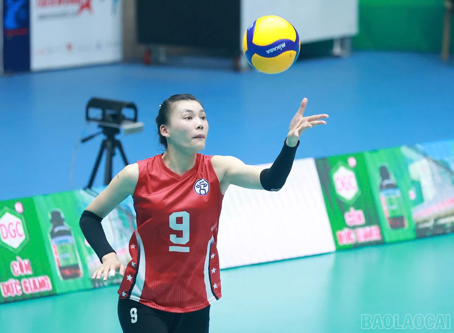 baolaocai-br_z6032501701635-1f75efe3322f0888efd47ae307455f6b.jpg