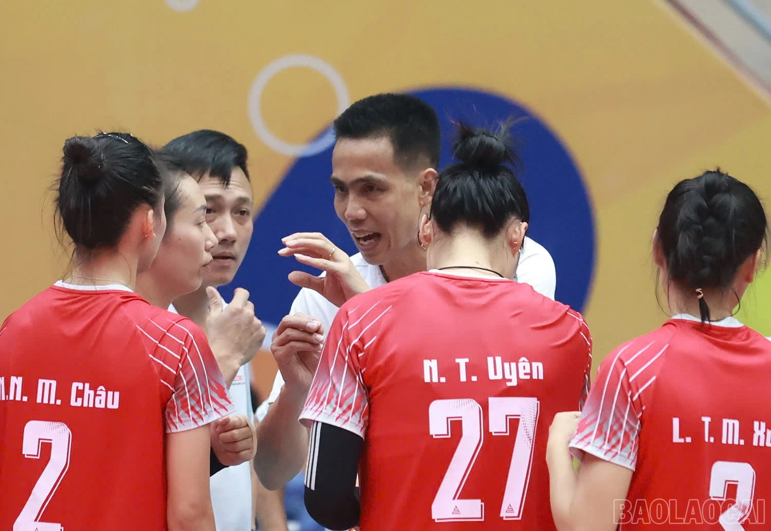 baolaocai-br_z6033244300914-a29c8f87ee203cd4c069d58504117921.jpg