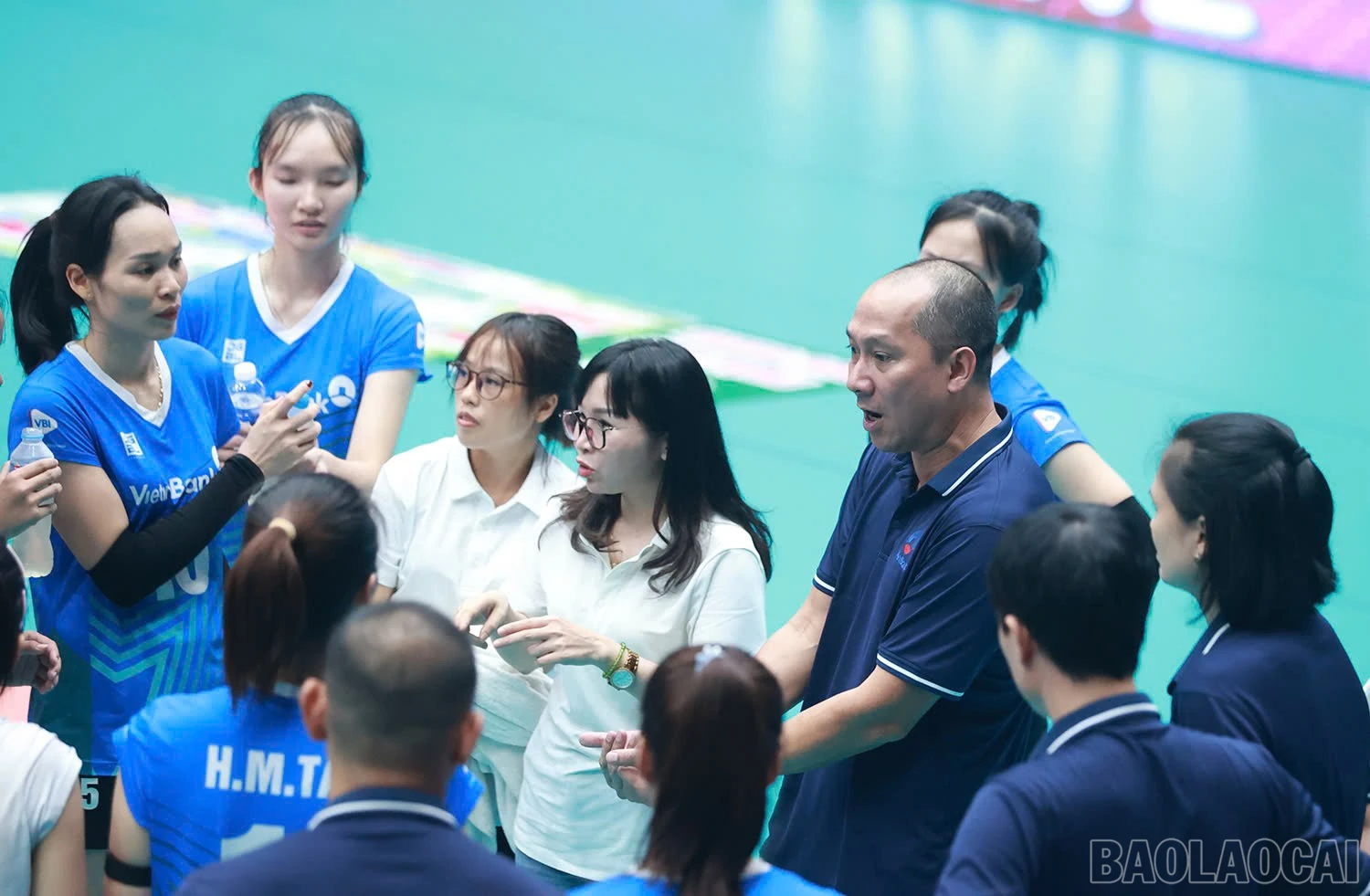 baolaocai-br_z6032501701701-20c8524e5a362ea397e346878aef546a.jpg