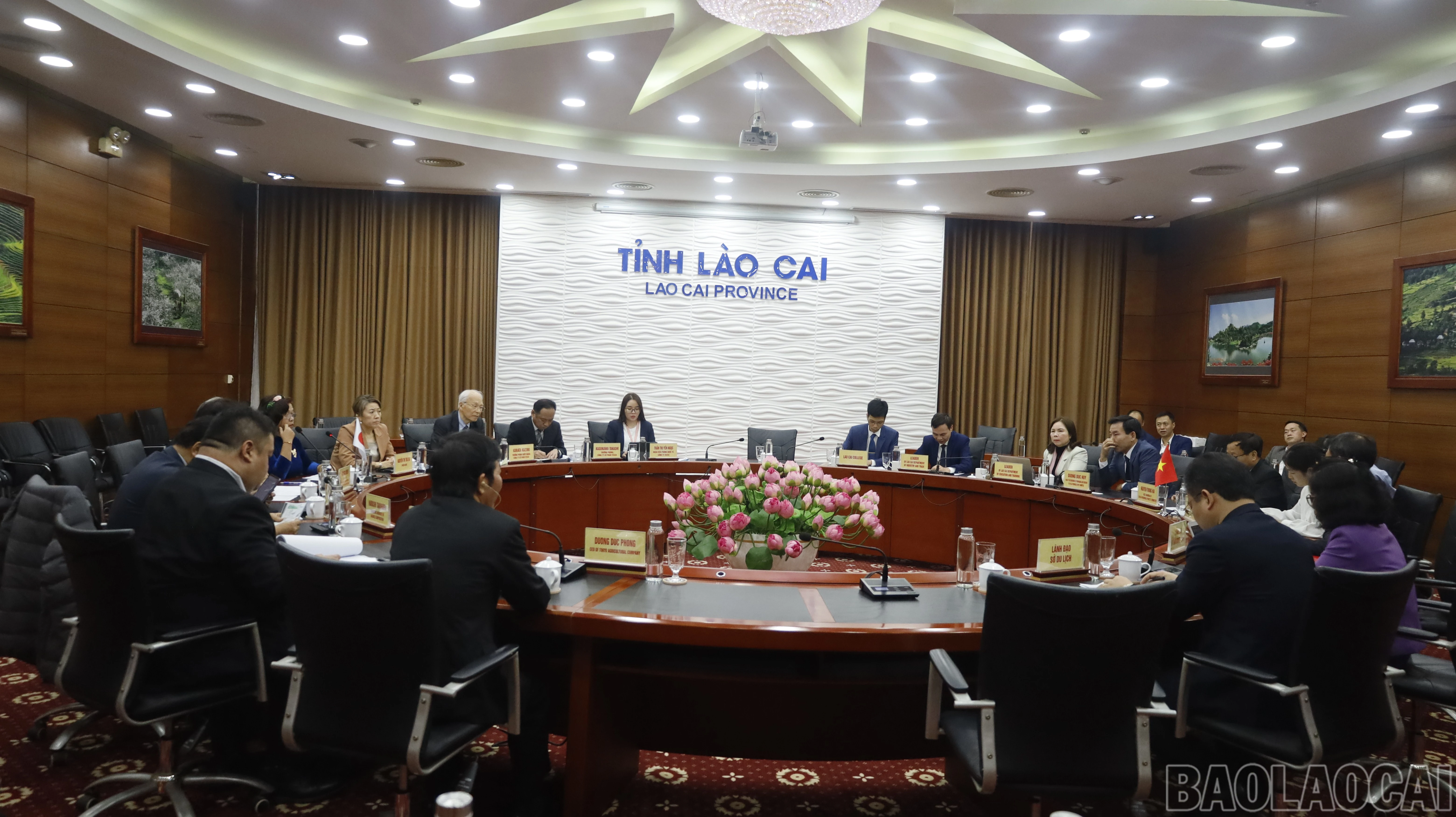 baolaocai-br_mg-8579.jpg