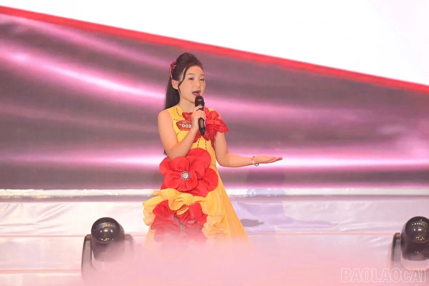baolaocai-br_z6134603874880-0da894b06138a18b15906f224fd86120.jpg