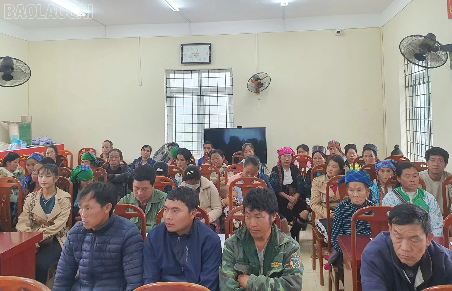baolaocai-tl_2.jpg