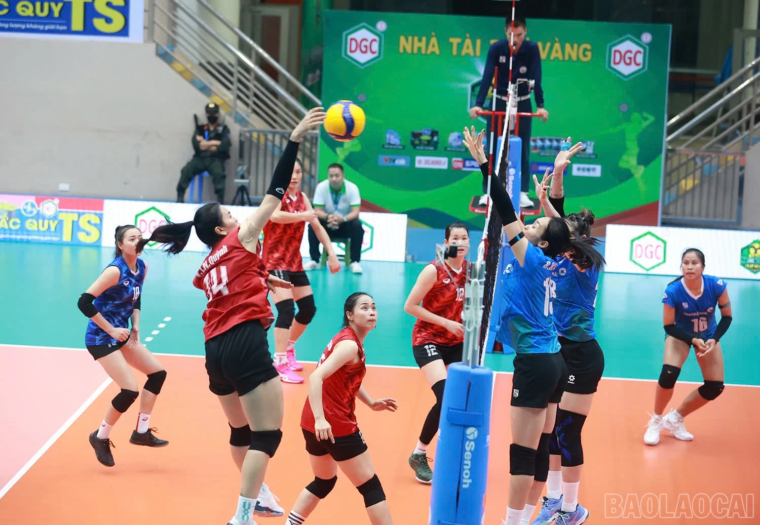 baolaocai-br_z6019327160727-7fe35a01b59f80ed17c6c5853a622e5b.jpg