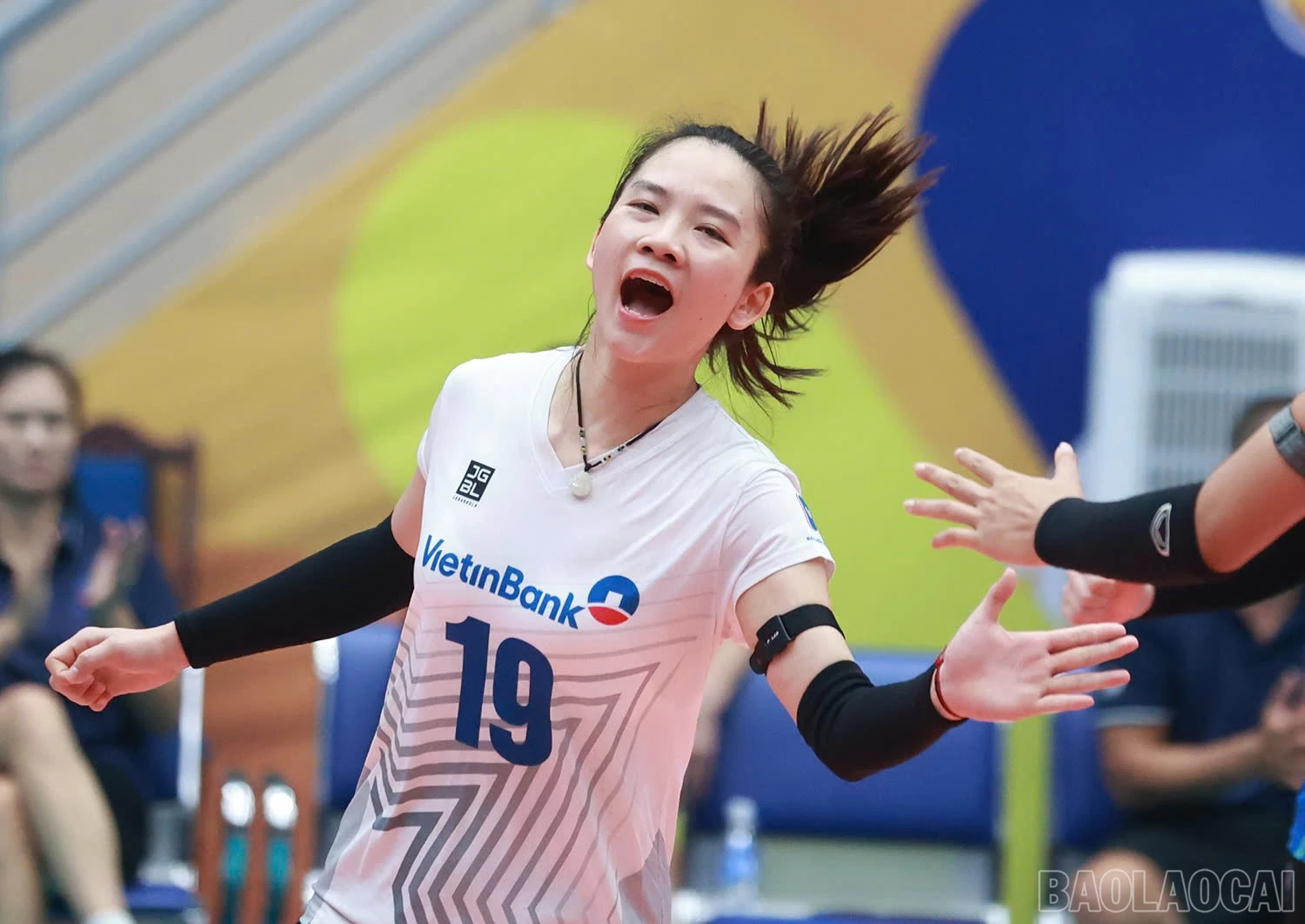 baolaocai-br_z6019327540881-184c158ea87ef337322b9e17c8d84750.jpg