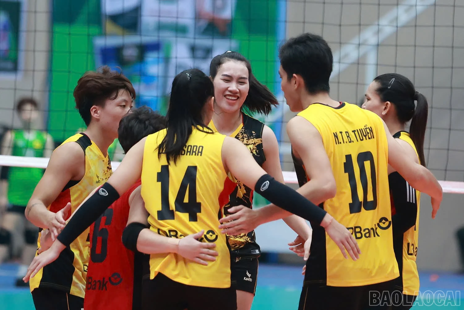 baolaocai-br_z6018745777631-f2e3a29f1c2894eabea1b9b004e32aa5.jpg