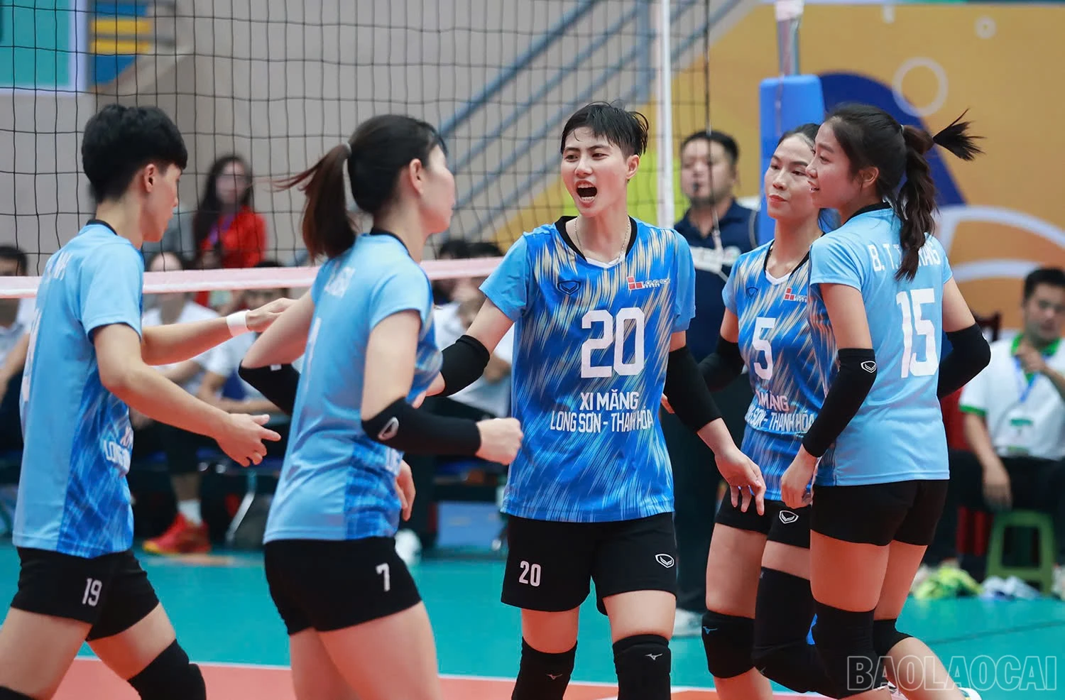 baolaocai-br_z6018342815790-2baf4338221b92b8680dfe2f4562c218.jpg