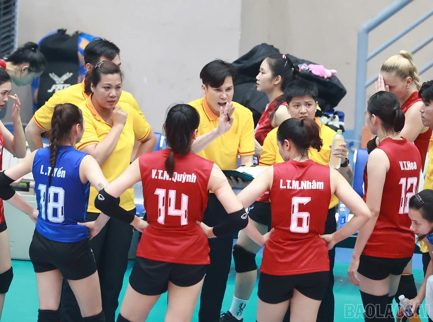 baolaocai-br_z6019327648684-239420b3716ea7bbe0b926049061b76e.jpg