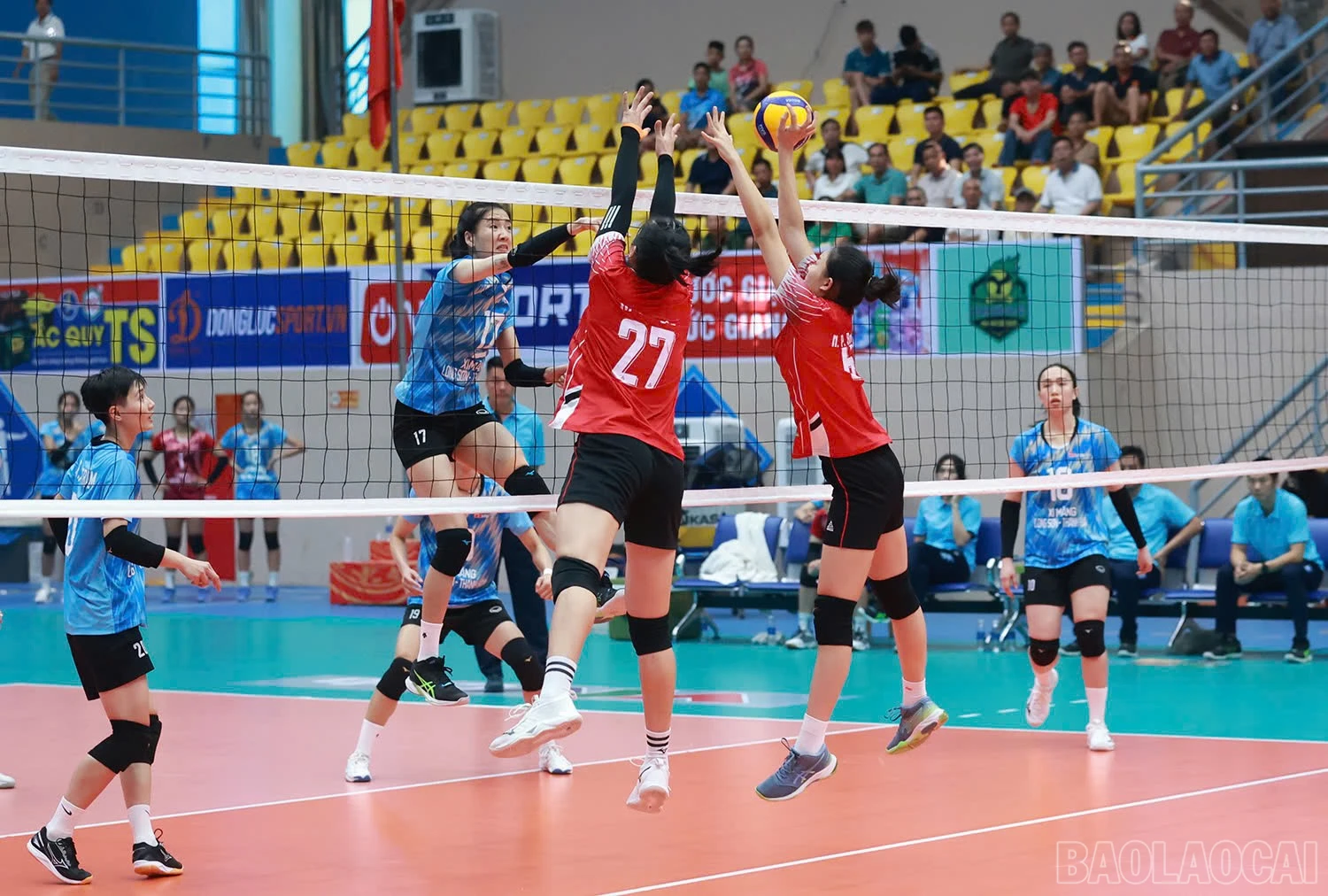 baolaocai-br_z6018334928987-673ef15696e4f760ee907ed25acdbfc4.jpg