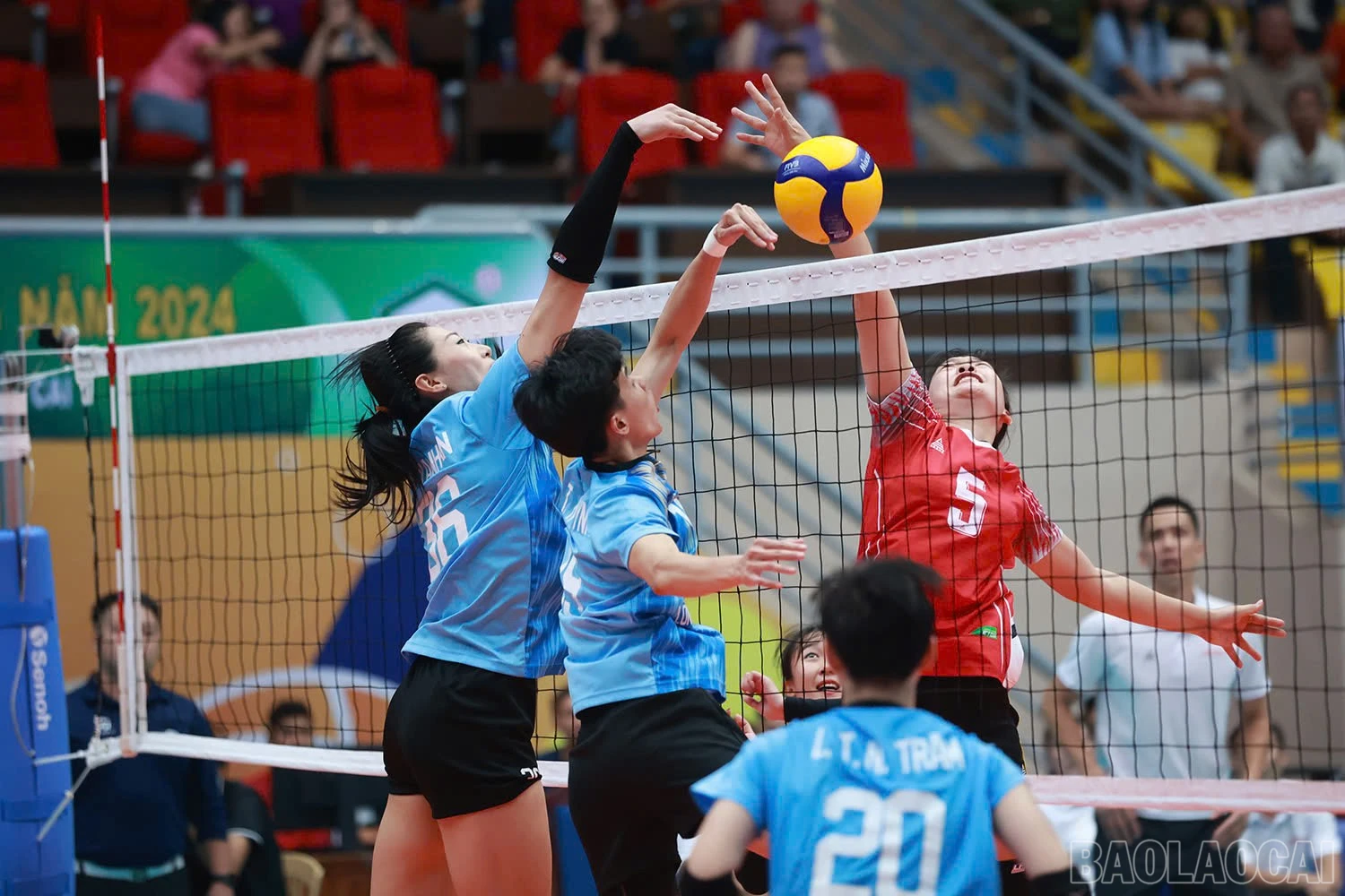baolaocai-br_z6018335143092-78d442ba8869527f4fd506bddbdcd394.jpg