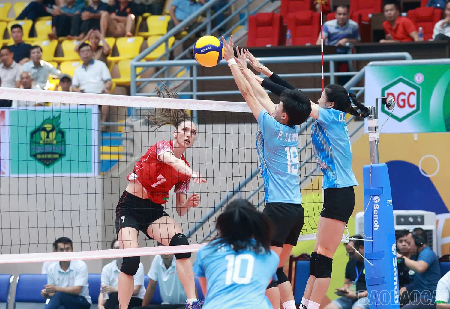 baolaocai-br_z6018334971930-58fa196d12db5fe0bd2e826599030a7d.jpg