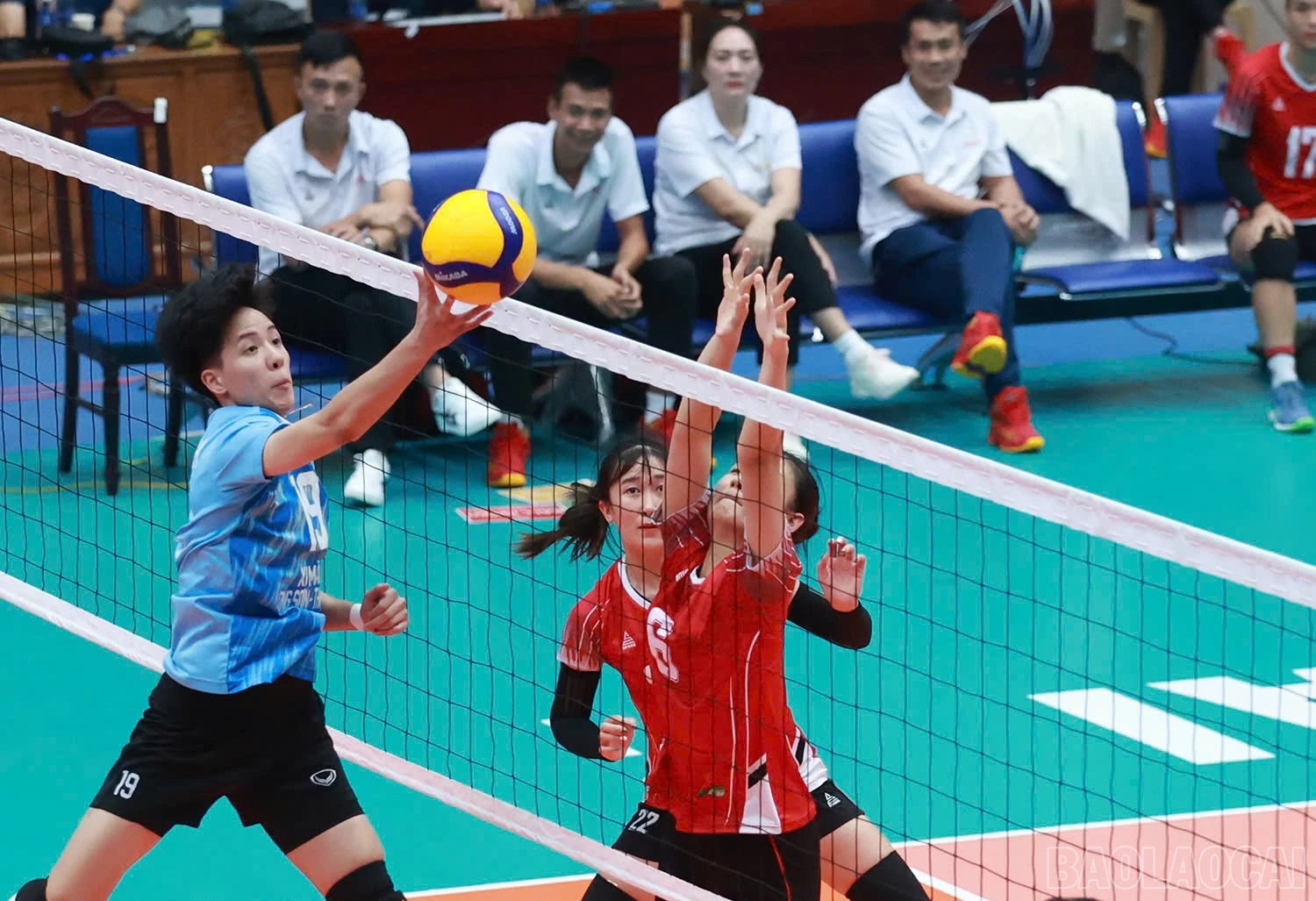baolaocai-br_z6018335014374-0fa93d275dfbe7c80ed4e1e83b2cb088.jpg
