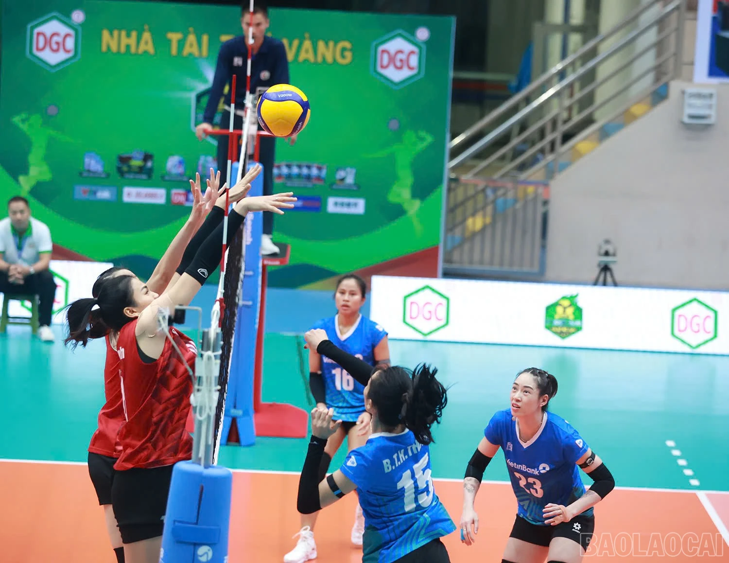 baolaocai-br_z6019327214825-f4107938398fb3cf79ae23950ff59b00.jpg