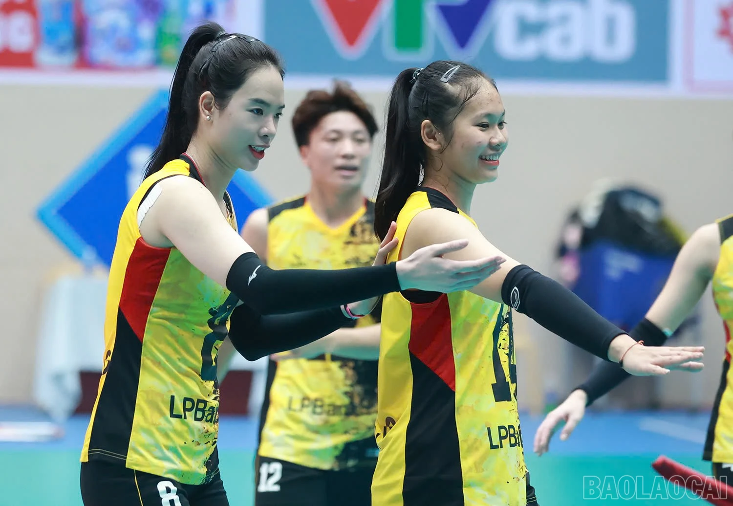 baolaocai-br_z6018746347816-e7afc82c05391c88100bdfafa0709b3a.jpg