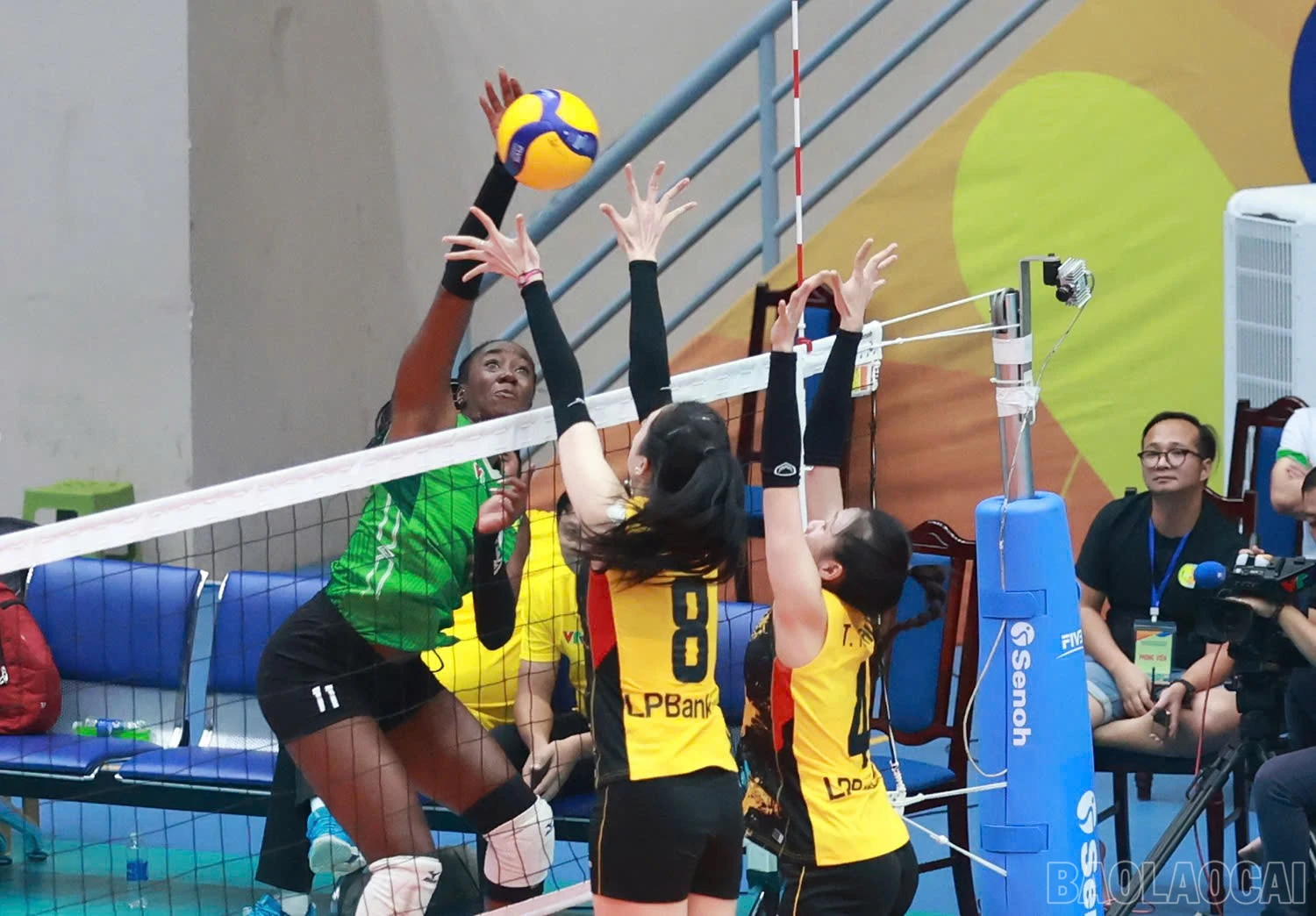 baolaocai-br_z6018746400065-92ac539e2f1638b7b33d47f96977a2dc.jpg