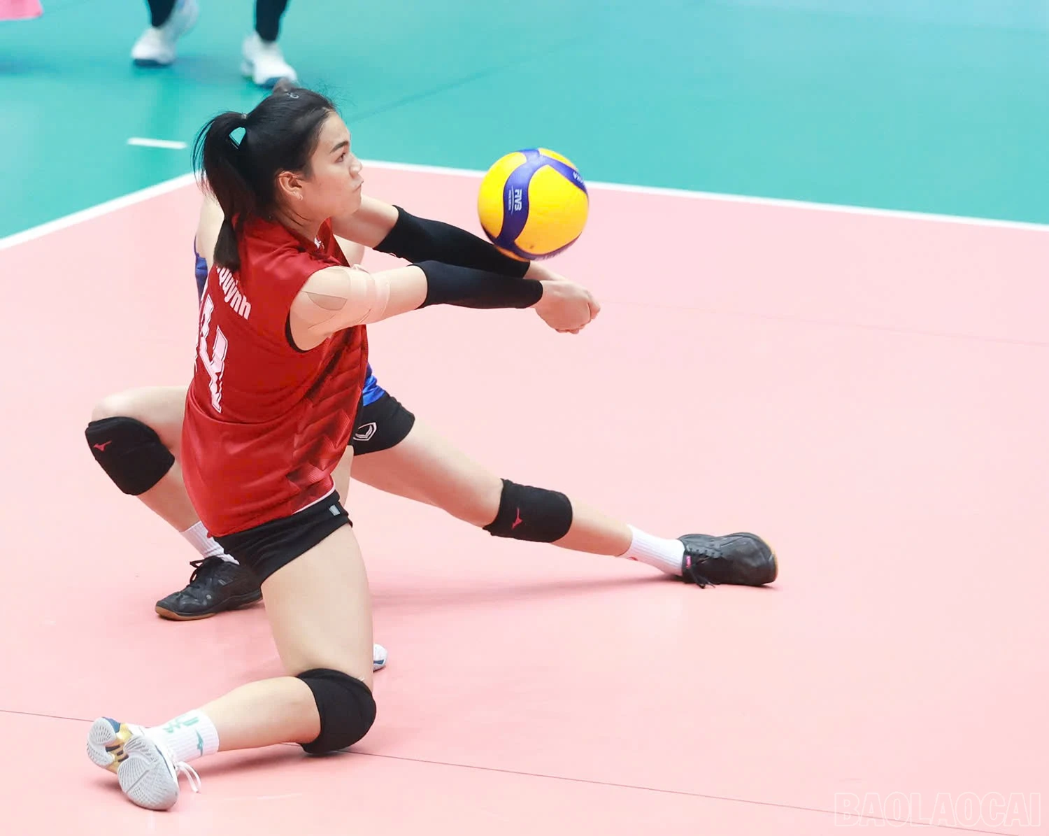 baolaocai-br_z6019327322395-75a696c05206a80b45dcd3b9f78b367a.jpg