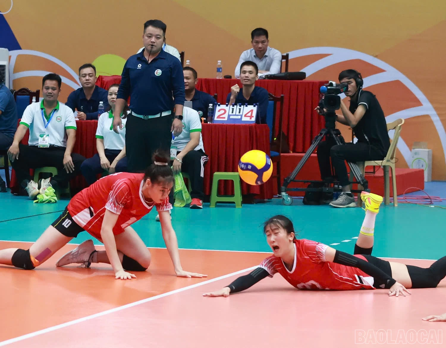 baolaocai-br_z6018335100113-75a8f6a1e6e09222c89f4cc7e4e0b0f9.jpg