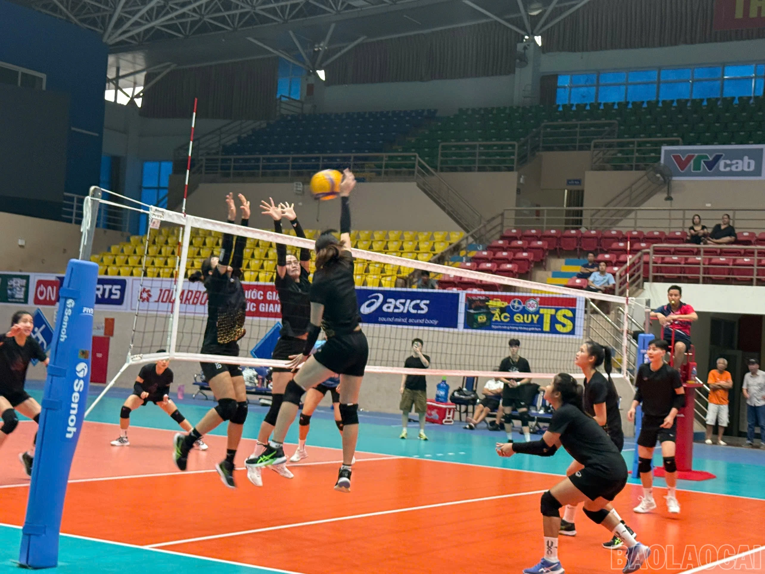 baolaocai-br_z6008694642593-ea3f28a43c08fb549f376035c6cd3d71.jpg