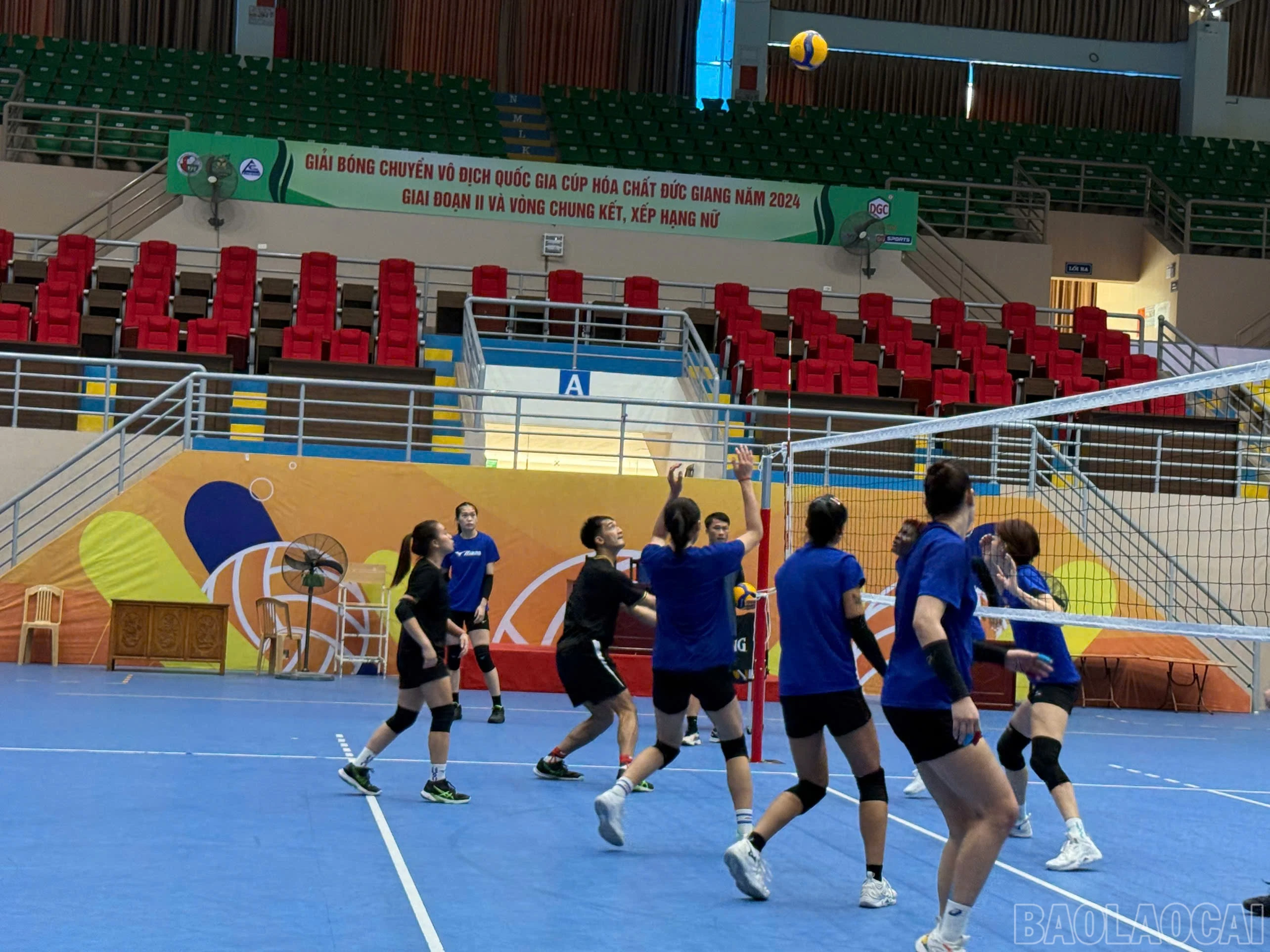 baolaocai-br_z6008694645512-666652fab145ffe749dc80e3f90ad03d.jpg