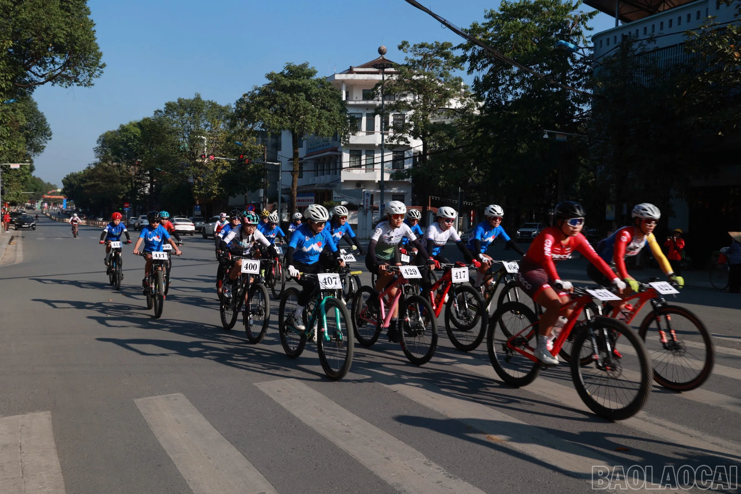 baolaocai-br_z6083705033105-fdc7c2320ded8876bef104a48cd5ee26.jpg