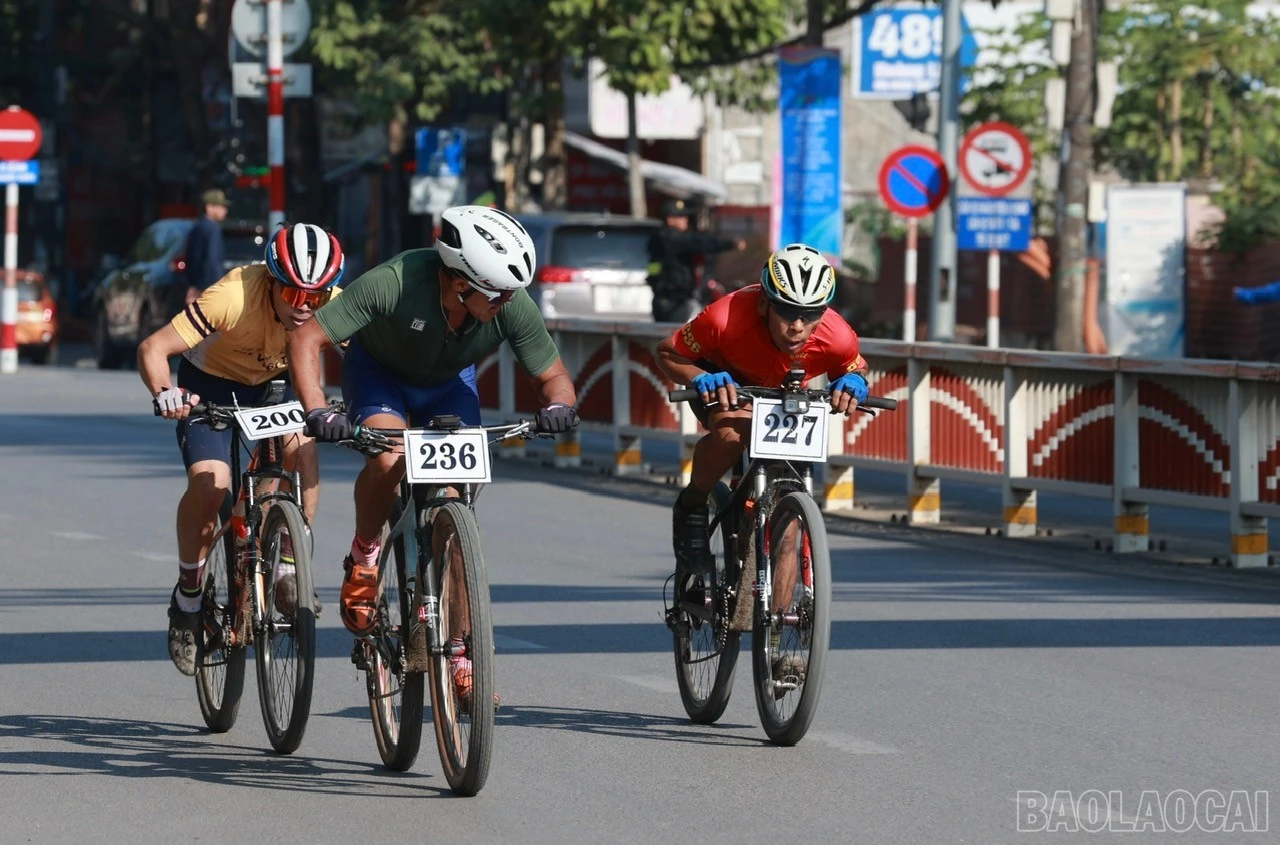 baolaocai-br_z6083280875217-87a1ed44addaee74d804aa0d0c572ed9.jpg