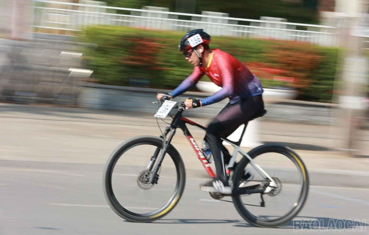 baolaocai-br_z6083288088284-cc6a0276c27677db5d8fd5a05f816c07.jpg