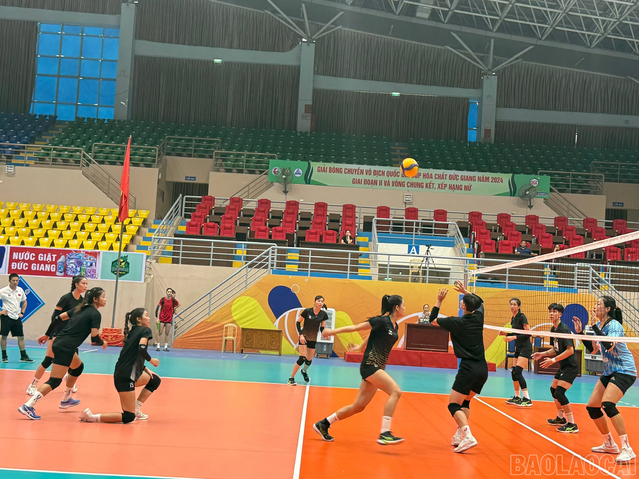 baolaocai-br_z6002961693587-bafa713c51af7044a5a3dd99ef66f809.jpg