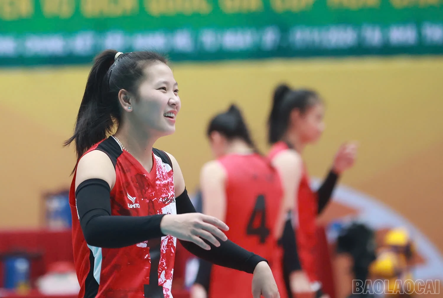 baolaocai-br_z6044165568783-3989cce22fe81d336dba2fea94518ee3.jpg