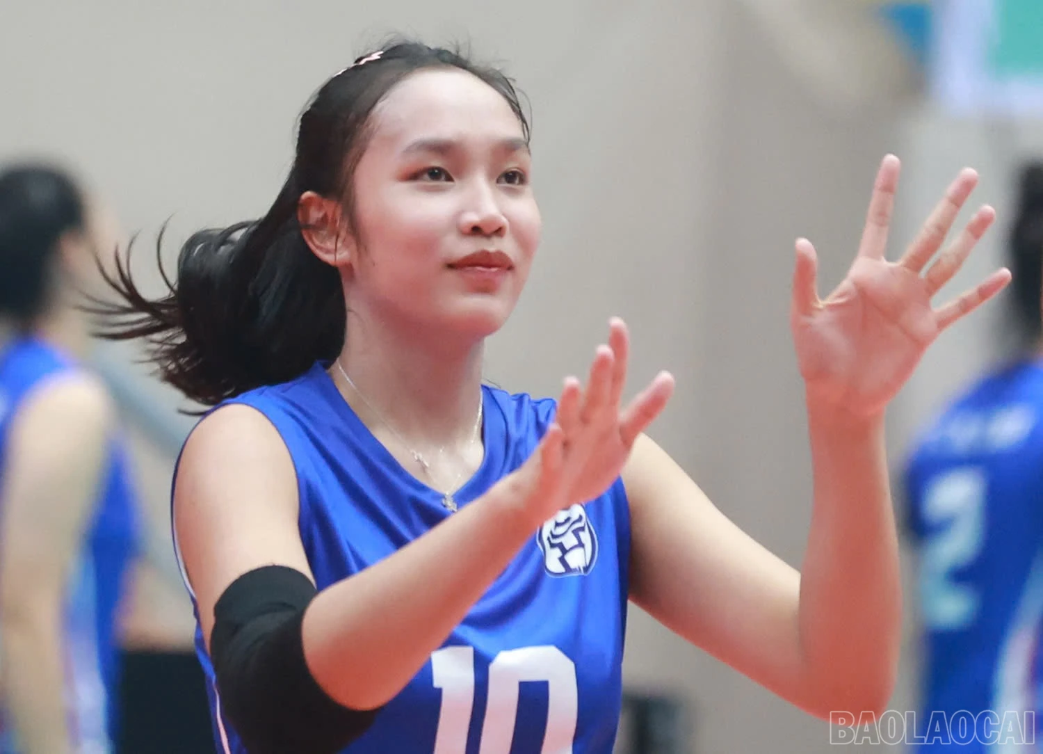 baolaocai-br_z6038780355714-f463878dbca84ca66d89e980dd8d2e74.jpg