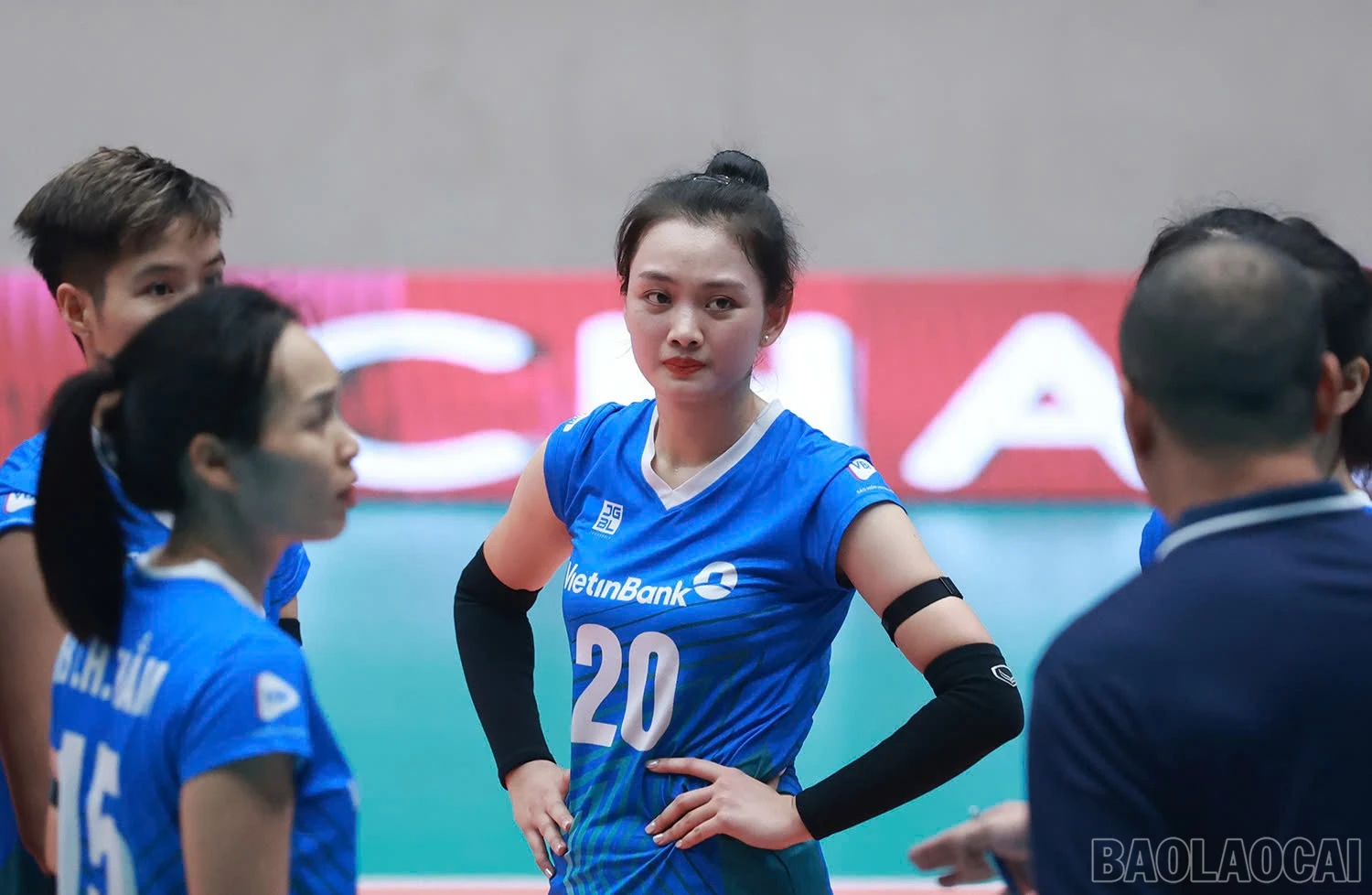 baolaocai-br_z6038780502390-f1a5e51820255f23393f0badad30a078.jpg