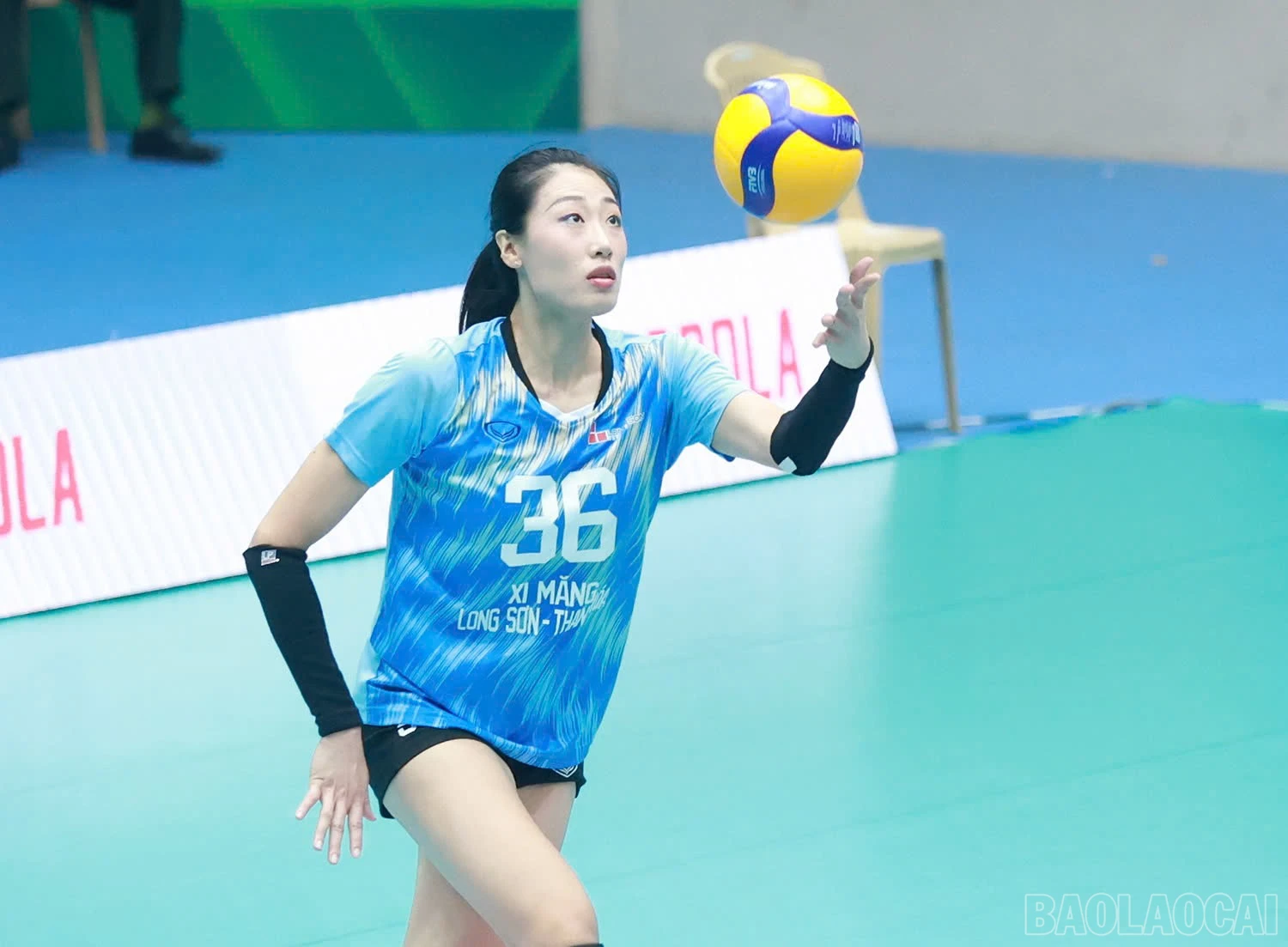 baolaocai-br_z6036739275788-4a210c38886a04061b1e9f6f404233c9.jpg