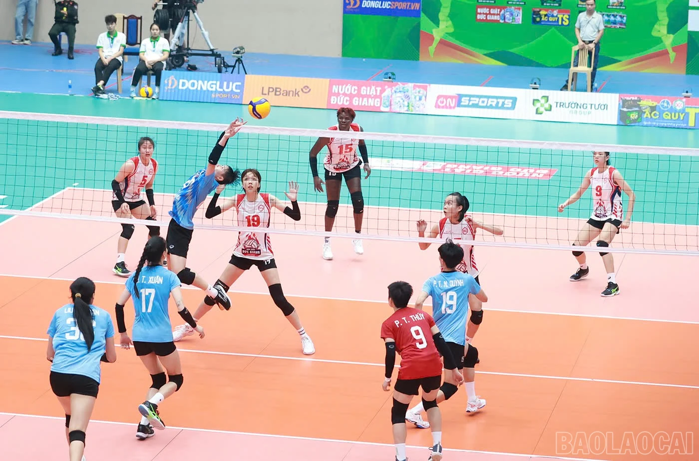 baolaocai-br_z6036739122044-dd7c36164f8153e64151b00d3d6aebfe.jpg
