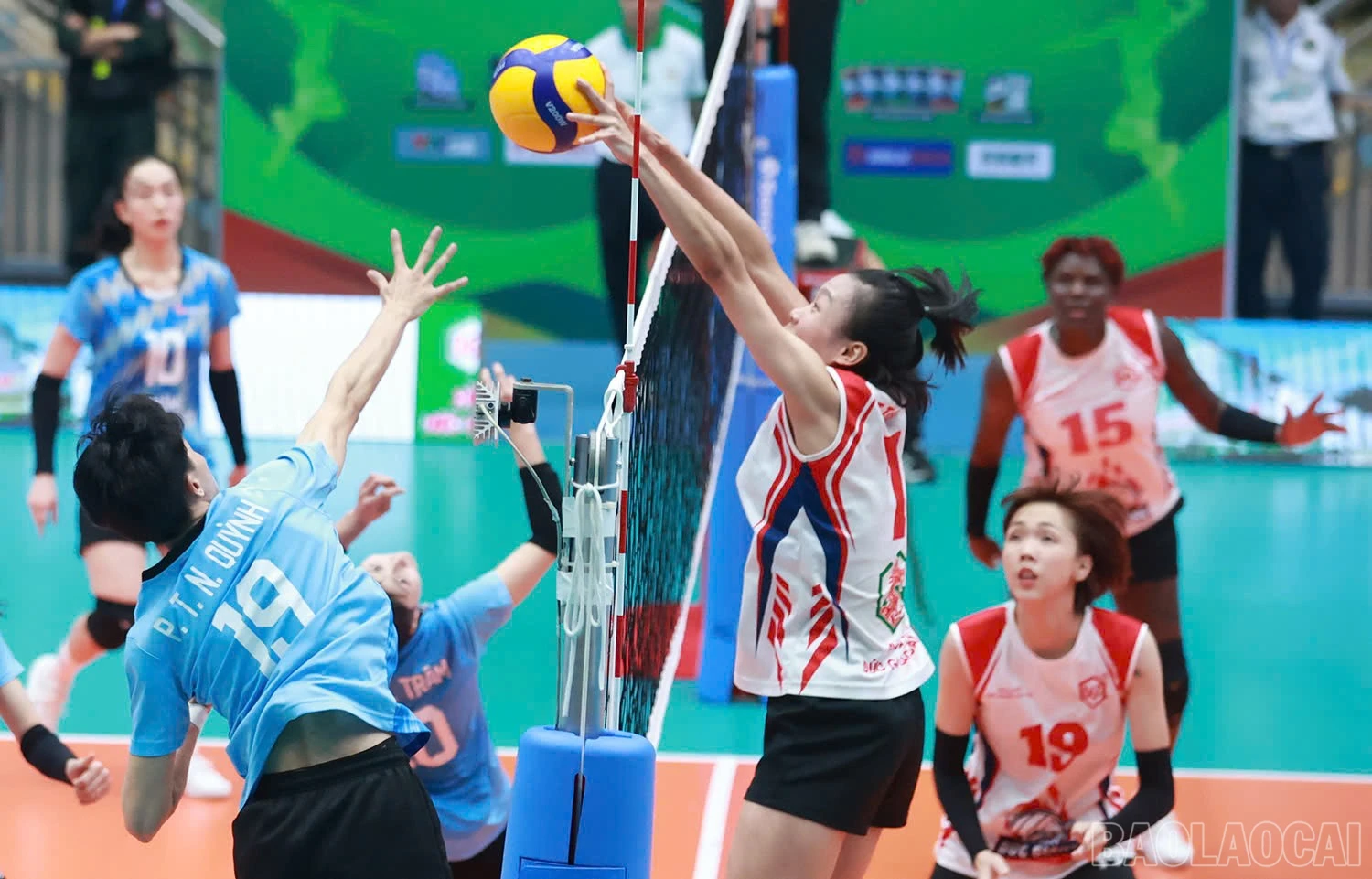 baolaocai-br_z6036739213523-9aaaf360a21f9dd70f75d4ad587aafe2.jpg