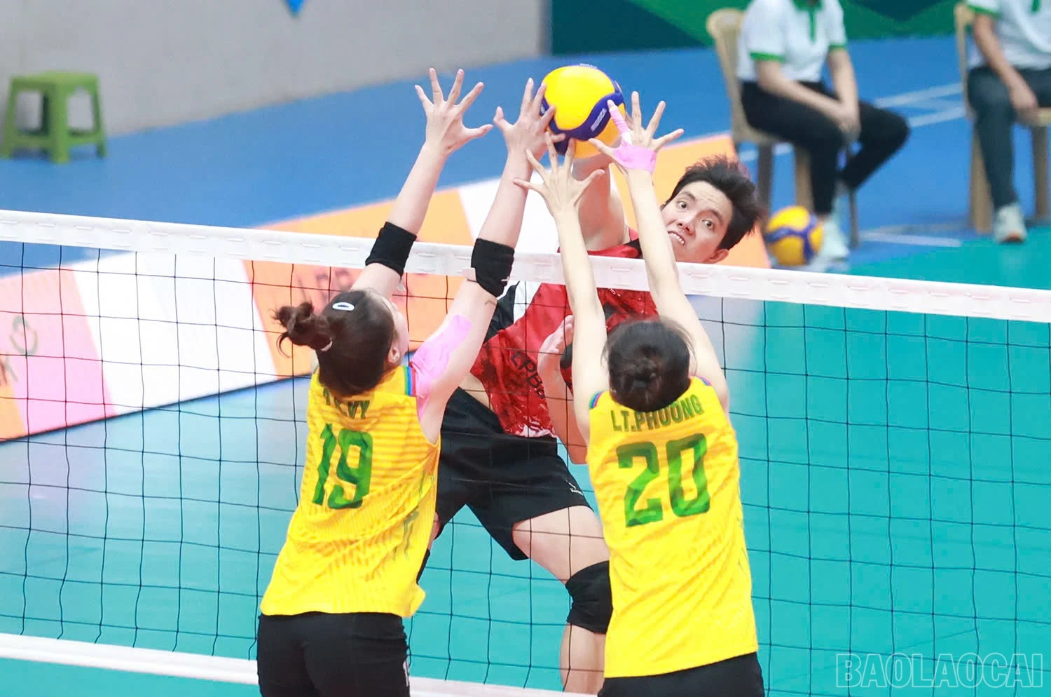 baolaocai-br_z6036058821980-38305322313b62569120a8f460f68f67.jpg